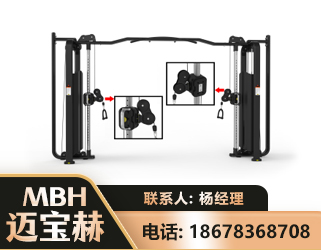阿勒泰大飞鸟训练器