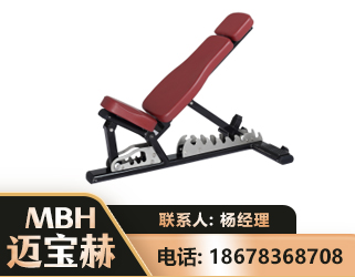 阿勒泰可调哑铃椅