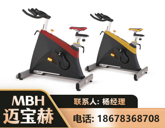 阿勒泰商用动感单车