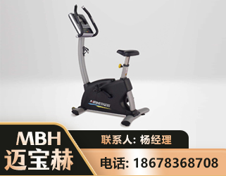 阿勒泰立式健身车
